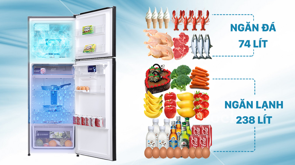 Tủ Lạnh Electrolux ETB3700H-A - 350L Thái Lan | Lucasa.vn